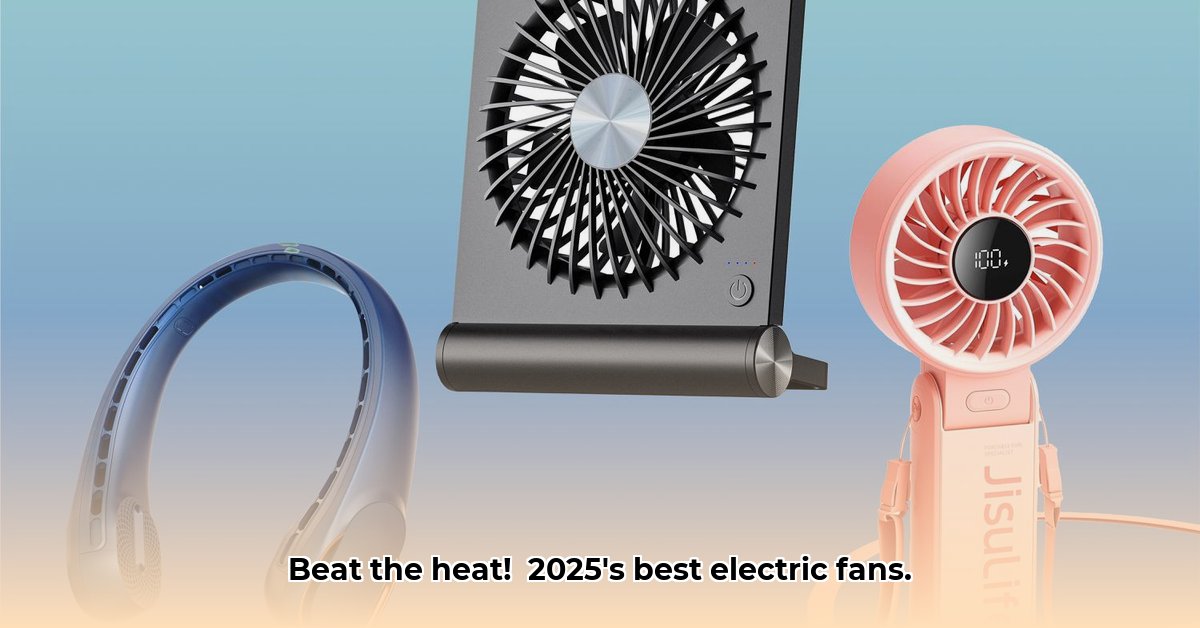 best-electric-fan-buying-guide-2025
